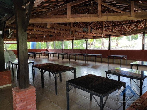 Imagem 9 de 30 de Chácara À Venda, 360000 M² Por R$ 3.400.000,00 - Fazenda Nata - Londrina/pr - Ch0189