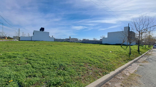 Lote En Venta Barrio Nuevo Lorenzo