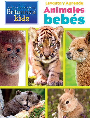 Animales Bebés