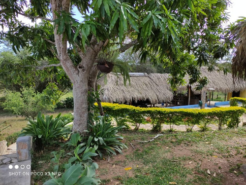 Imagen 14 de 28 de Venta De Hermosa Finca En El Estado Lara