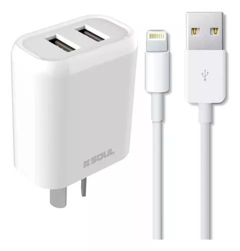 Cargador iPad 1 2 3 Original Apple / 12 Wts + Cable Usb 30 Pines