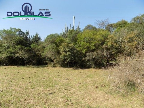 Lindo Sítio 2 Hectares Ótima Localização - 1535