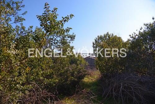 Arriendo Terreno Comercial Las Cruces.