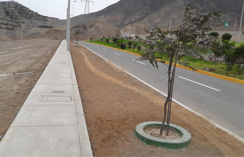 Imagen 6 de 12 de Terreno 90m2 -av. Principal- Urb. San Antonio De Pachacamac