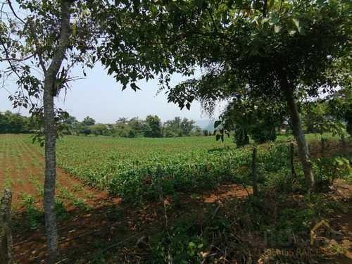 Terreno En Paxtepec Ver Coacoatzintla