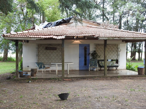 Imagen 2 de 9 de 29 Has Hortícolas Con Casa - Bavio, Magdalena