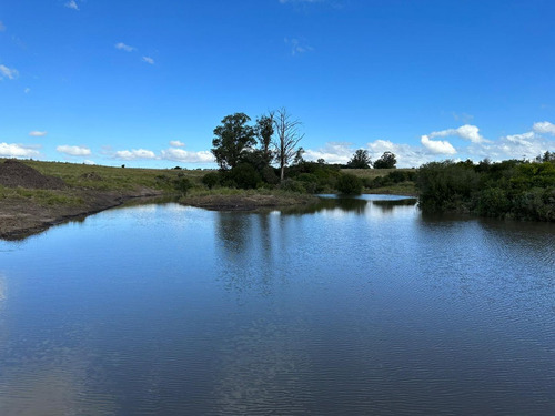 Quinta En Venta En La Garzona