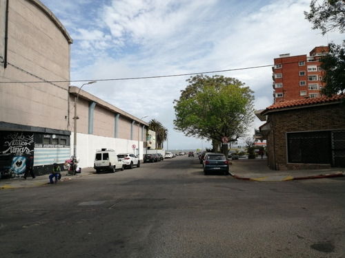 Imagen 2 de 17 de Vv. Con Renta Casi Rambla! Hermoso Al Frente