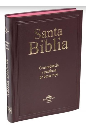 Biblia Rvr1960 Concordancia, Letra Gigante, Vinil Color Vino