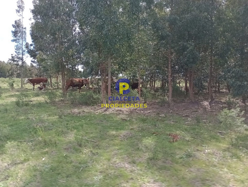 73 Hectáreas En Canelones