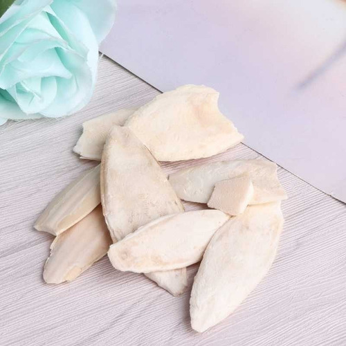 Imagen 5 de 6 de Huesos Rotos De Jibia Para Roedores Y Anfibios 30g
