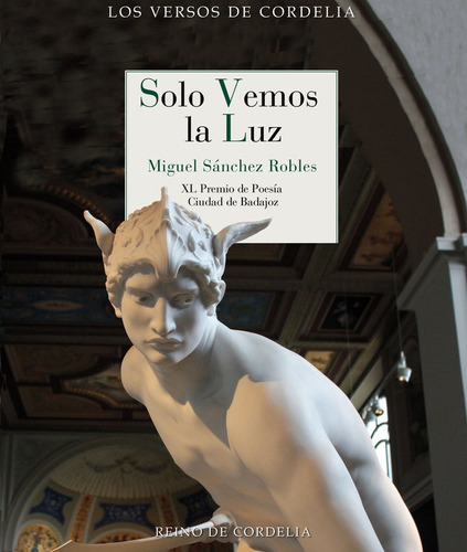 Libro Solo Vemos La Luz - Sanchez Robles, Miguel