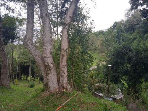 Excelente Parcela Con Gran Casa Amoblada Llifén, Futrono