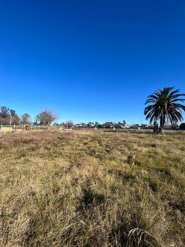 Imagen 5 de 8 de Terreno En Venta En Altos De San José