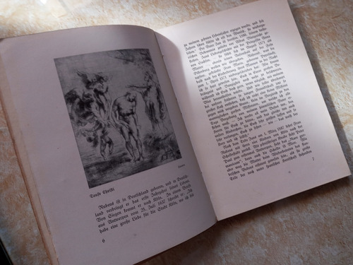 Livro - Rubens (Usado)