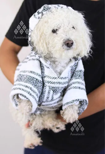 Lote 6 Su ter Chamarras Ponchos Jerga Para Perro Mascota Cuotas
