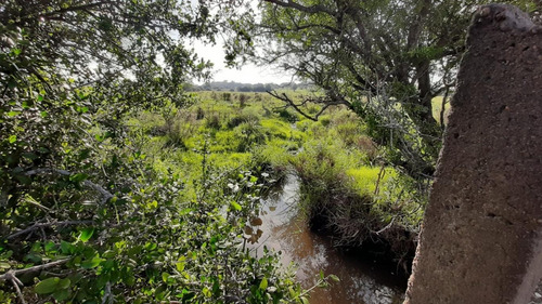 Campo De 26 Has A Metros De Ruta 9 En Pan De Azúcar
