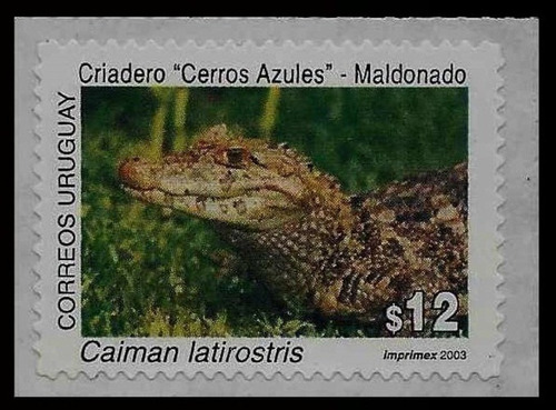 Fauna - Caimán - Uruguay 2003 - Sello Autoadhesivo Mint