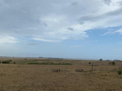 Venta De Chacra En Rincón De José Ignacio, 5 Hectareas - Ref: 1587