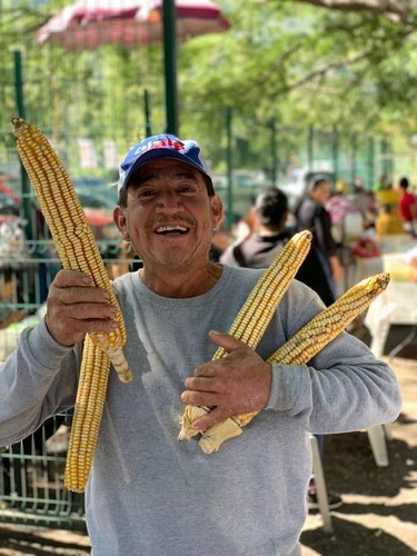 10 Kg De Semillas De Maiz Gigante De 1°