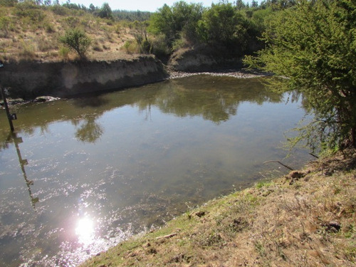 Imagen 11 de 23 de Campo En Cauquenes, Tres Estanques Acumuladores, 97 Has