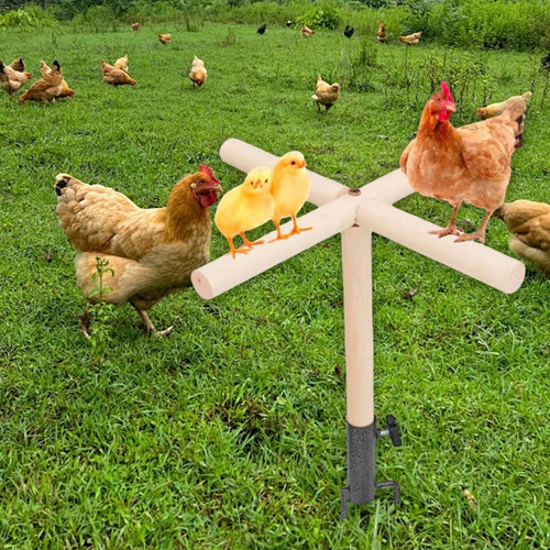 Juguete De Percha Para Pollo, Accesorios Para Gallinero,l