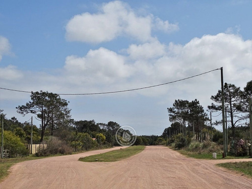 Imagen 2 de 6 de Terrenos En Zona Bosque, Varias Opciones En Punta Del Diablo