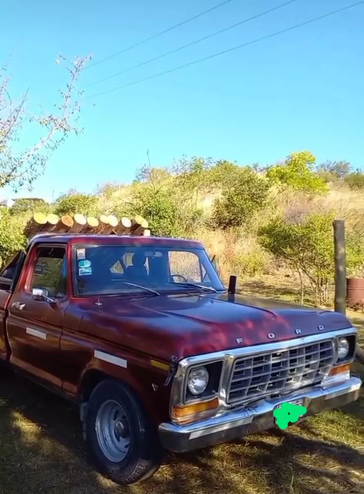 Ford F-100 4.2 V8