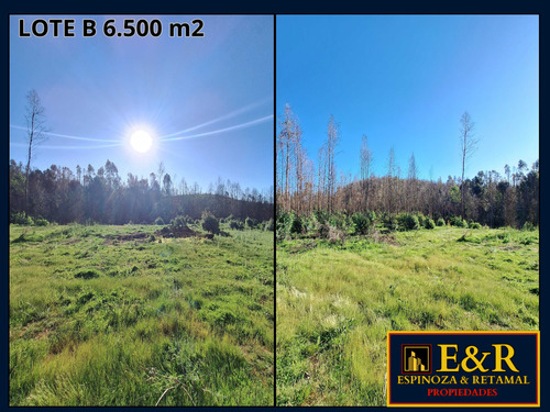 6000 M2 En Colico, Con Ester , Santa Juana (67673)