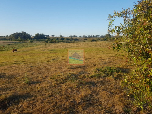 Imagen 3 de 12 de Chacra 7 Hás Rincón De José Ignacio