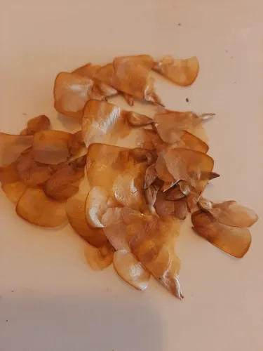 Semillas De Cedro Del Himalaya X 50 Unidades.