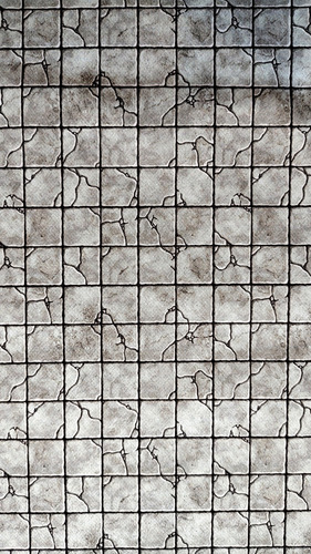 Mapa Rol D&d Battle Mat Dungeon Floor Muy Lejano