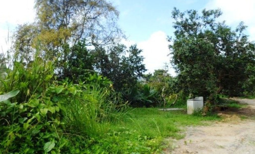 Imagen 9 de 10 de Lizmar Cottua 04122503801 Oripoto Mls #20-16636