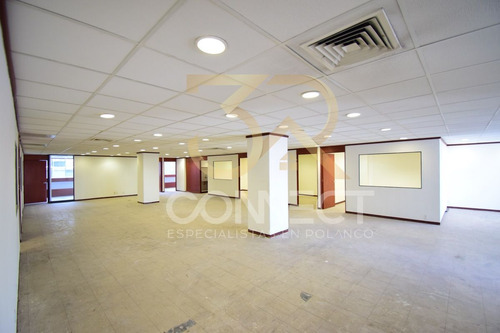 Oficina En Renta En Anzures 22c/3b/1e - Excelente Ubicación - 650m2
