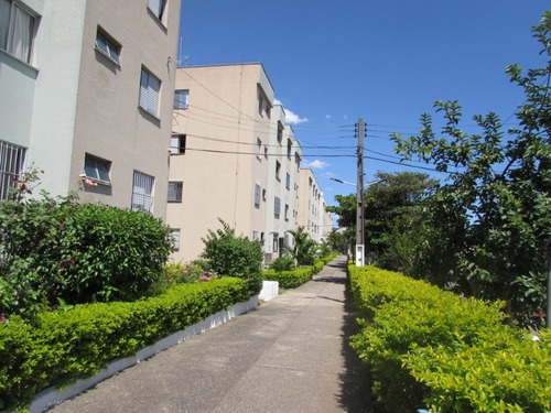 Imagem 13 de 13 de Apartamento A Venda Vila Silvia, São Paulo - V3058 - 33541461