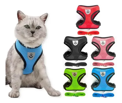 Coleira para Cachorro, Coelho, Gato Bacon Born Coleira Peitoral azul tamaño M