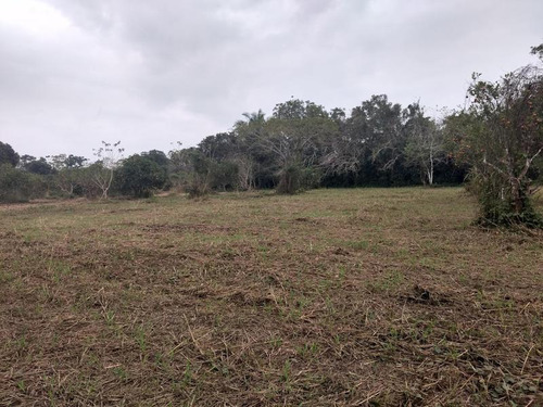 Vendo Terreno 2412 M² Isla De Juana Moza Tuxpan Veracruz