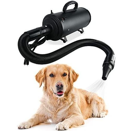 Xeternity-made Pet Dog Grooming 4.2hp Pet Blaster 7bysa