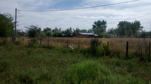 Lote En San Miguel Del Monte