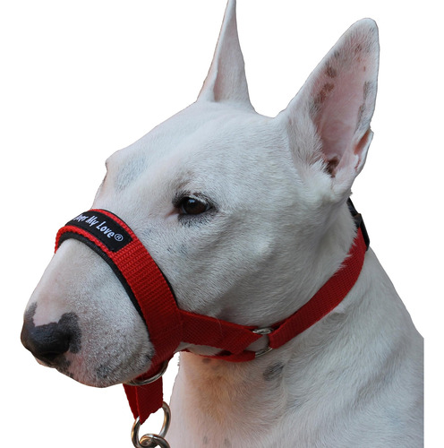 Cabeza De Perro Halter Rojo 6 Tallas (m: 8.25-10.25 Hocico)