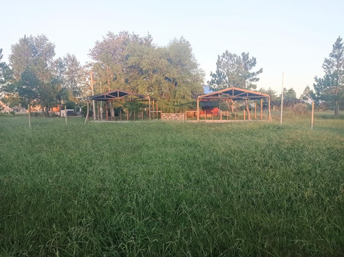 Imagen 7 de 10 de Terreno - Gualeguaychu