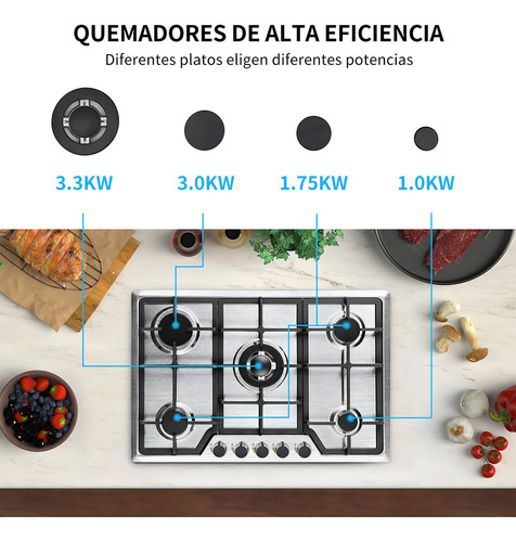 Parrilla Estufa De Gas Acero Inoxidable 5 Quemadores Cocción Plateado