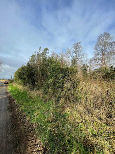 Parcela 6300m2 Arboles Nativos (105986)