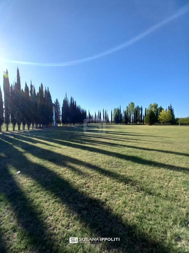 Imagen 22 de 23 de Finca Productiva De 17ha En General Alvear - Mendoza