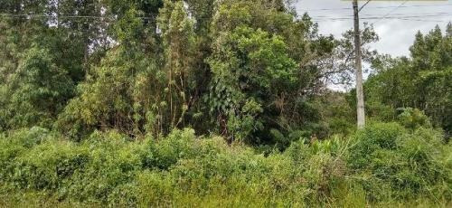Imagem 6 de 12 de Ótimo Terreno No Jardim Marambá, Em Itanhaém 4196