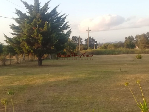 Imagen 14 de 22 de Venta De Chacra Con Casa , 5 Has , Maldonado