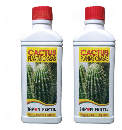 Japon Fertil Cactus Crasas Pack X 2 Unidades