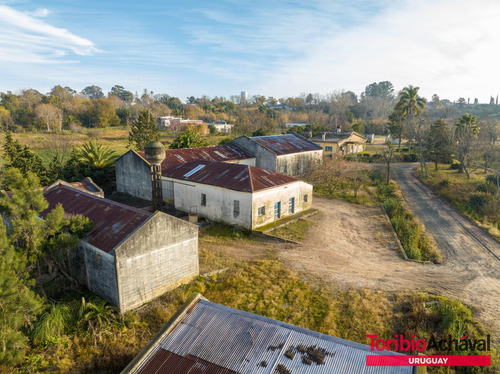 Venta Magnífico Terreno Para Urbanización En Zona De Barrios