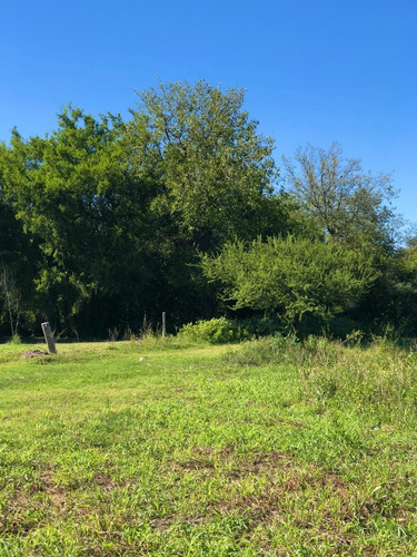 Imagen 8 de 18 de Lote 1250 M2 - La Aguadita / Villa De Las Rosas - Traslasierra