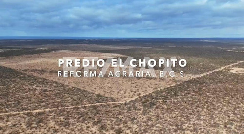 El Chopito Predio El Tepetate, La Paz,